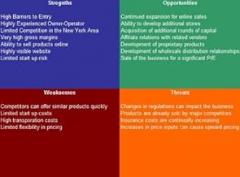Electronics Manufacturer SWOT Analysis Plus Business Plan