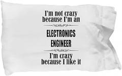Amorfos Electronics Engineer Gifts for Women - Electronics Engineer Creative and Soft Pillow Case, Electronics Engineer Appreciation and Graduation Gift, Pillowcase