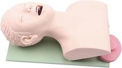 Electronic Adult Tracheal Intubation Model Oral Nasopharyngeal Human Airway Emergency Medical Nursing Training Mannequin(Without Controller)