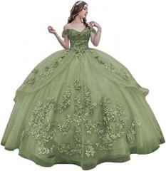 PRECISCRY Off Shoulder Quinceanera Dresses for Teens Puffy Sparkly Tulle Prom Gown 3D Floral Lace Sweet 15 16 Ball Gowns PRY163 Sage