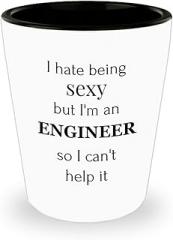 Funny Gifts Idea for Engineering Shot Glass Shotglass Novelty Drinkware - Engineer Engr Week Civil Chemical Electrical Electronic EC Industrial Mechanical - I Hate Being Sexy