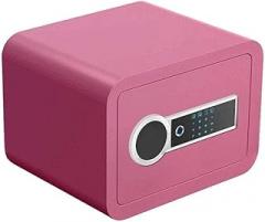 Fireproof Waterproof Safe, Small Electronic Password Safe for Home & Office, 2-Layer Security Cabinet for Jewelry, Documents, Laptop, Passports & Cash - Black, 35x25x25cm(Pink)