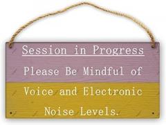 Session in Progress Please Mind Voice Electronic Noise Levels Wooden Plank Rustic Farmhouse Wall Sign Home Decor 12×8 Inch