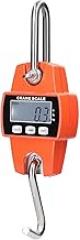 Mini LCD Digital 2-300kg Portable Industrial Electronic Heavy Duty Weight Hook Crane Hanging-Scale