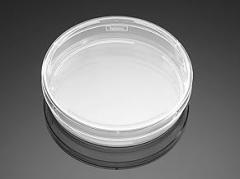 CORNBIO - Corning BioCoat Poly-D-Lysine 100 mm TC-Treated Cult Dish, CS10
