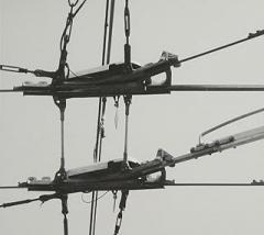 Ma Io Ch'in Questa Lingua