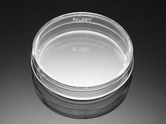 CORNBIO - Corning BioCoat Poly-D-Lysine 60 mm TC-Treated C ult Dish, CS20
