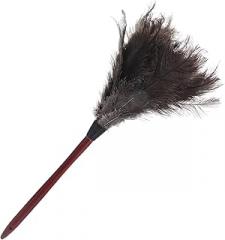 Natural Plumage Duster Handheld with Wooden Handle, Household Dusting Brush for Home and Office Cleaning, Lightweight and Reusable Dust Removal Tool