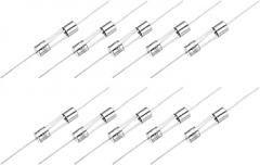 MECCANIXITY 10pcs Glass Tube Fuses, Axial-with Lead Wire 5x20mm 20A 250V for Replacing or Repairing Many Home Electronics (F20A)