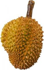 Milisten Decorative Artificial Fruit Model for Home and Supermarket Display Realistic Simulation Fruit for Photography Props and Art Education Medium Fun Decor Accent