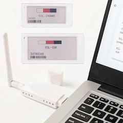 Electronic Shelf Label, 2.9