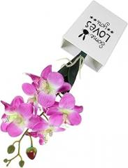 Milisten Artificial Moth Orchid Bonsai Purple Potted Plant, Realistic Tabletop Faux Flower for Home and Office Décor, Plastic Simulation Orchid for Indoor Desktop Decoration