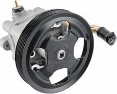 49100-65J00 Automotive Power Steering Pump Compatible For Suzuki Vitara 2.0