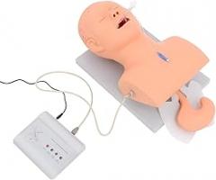 Adult Intubation Model, 220V PVC Oral Nasal Intubation Manikin Study Teaching Model, Airway Management Trainer Intubation Head Study Teaching Model with Electronic Alarm, for Science lab Study