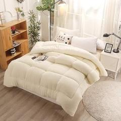 Winter Duvet Lamb Velvet Fabric Quilt Cotton Fiber Filled Core Double-Sided Thick Breathable Warm Quilt Suitable for Home Use and Gifts