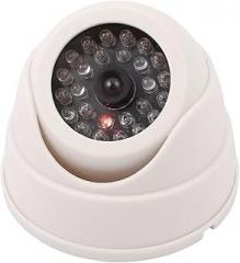 Indoor Outdoor Electronic security Dummy CCTV Security Dome Camera With Flashing Red LED Light