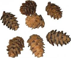Veemoon 50 Pack Real Props Ornaments for Decorating Scented Pine Cones Frosted Pine Balls for Charcuterie