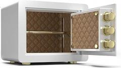 Deluxe Electronic Digital Anti-Theft,Auto Opening Steel,Fashion Design Security Home for Home Office Business