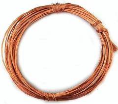 Multi-Strand Enameled Wire, 0.31mm（ Diameter x100(Strand) X1m, for Fasteners Maintenance Copper Electronic workbenches Mechanical Shafts.