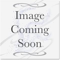 HPE LTO Ultrium-7 Data Cartridge - LTO-7 - Worm - 6.25 TB (Native) / 15 TB (Compressed) - 2775.59 ft Tape Length - 315 MB/s Native Data Transfer Rate - 750 MB/s Compressed Data Transfer Rate