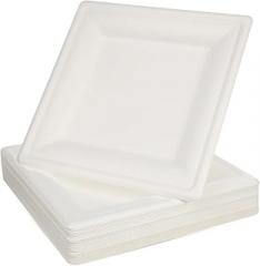 Milisten 50pcs 8-inch White Square Disposable Plates Thickened Bagasse Serving Trays Party Dinnerware for Picnic Camping Outdoor Use