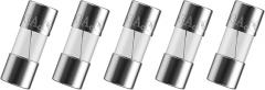 3.6x10mm 3A 125V Fast Blow Glass Fuse, Pack of 5 Glass Fuse Mini Fuses 3amp 125 Volt 0.14x0.39 Inch Fast-Acting Tube Fuses for Electronics, Appliances and Circuit Protection
