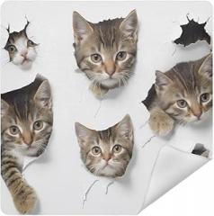 Funny Cats Play Paper Camera Protective Wrap, Anti-scratch Lens Protector Wrapper, Magic Self-Adhesive Cloth for Cameras/DSLR/Laptop/Electronic Accessories, S