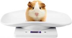 10kg,1g Digital Small Pet Weight Scale for Cats Dogs Measure Tool Electronic Kitchen Scale Multi Function LED Scale Digital Weight with Height Tray Measure Accurately