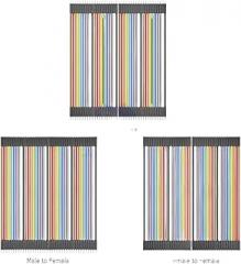 3 in 1 Line Set 30cm Male to Male/Female Female Jumper Wire Cable for Arduieno New 2025 Arrival High Reliable Electronic Component, Precision, Stable Performance