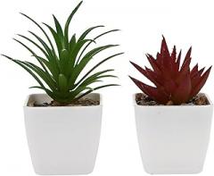 Milisten Artificial Succulent Plants 2pcs Mini Faux Bonsai Set Small Red and Sword Grass Greenery Decoration for Home Office Desk Indoor Display