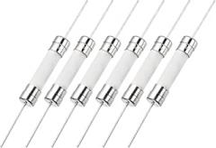 MECCANIXITY 6Pcs 250V Axial Lead Fuse, 6x30mm Mini Slow Blow Ceramic Fuses for LCD TV Household Appliances Electronic(T30A)