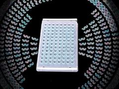 Excel - BioExcell Film for Sensitive Elisa Assays- Str, PK100