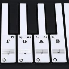 Transparent Piano Keyboard Sticker Removable Keyboard Note Stickers for 61/88 Key Electronic Pianos (Black)
