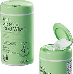 Biopure Antibacterial Hand Wipes Fresh Morning Breeze- Antibacterial Wipes with Aloe and Vitamin E Formula | 5