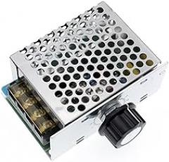 Professional Voltage Regulators 4000W 220V High Power Speed Controller Electronic Voltage Regulator Governor Thermostat BS