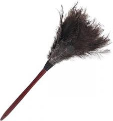 Milisten Natural Plume Duster with Wooden Handle, Handheld Flexible Dust Cleaner for Home and Car Cleaning, Reusable Lightweight Dust Sweeping Tool