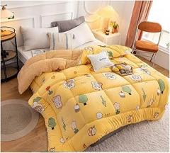 Winter Duvet Thick Warm Breathable Crystal Velvet Lamb Velvet Quilt Quality Hypoallergenic Comforter Quilt for Single Double People Quilt