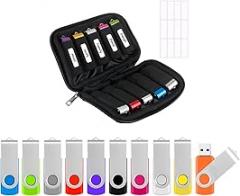 Flash Drive Case USB Storage Case with 4GB Thumb Drives 10 Pack, Portable Travel Electronics Bag USB Memory Stick Holder Computer Accessories Small Carrying Case with 12 Flash Drive Labels