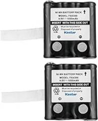 Kastar 2-Pack 4.8V 1000mAh Ni-MH Battery Replacement for TriSquare TSX100, TSX300, TSX-BP, DoroWT86 Radios