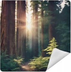Morning Sunlight in Wilderness Camera Protective Wrap, Anti-scratch Lens Protector Wrapper, Magic Self-Adhesive Cloth for Cameras/DSLR/Laptop/Electronic Accessories, S