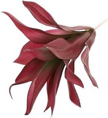 Milisten Artificial Succulent Plant Lifelike Plastic Agave Sansevieria Simulation Plant Indoor Tropical Desert Greenery Decor for Home Office