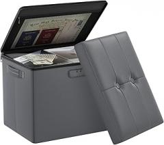 DocSafe Storage Ottoman with Lock,Fireproof Folding Ottoman Foot Rest Stool Storage Chest with Storage Safe for Important Documents,Waterproof 17 Inches Short Ottoman Foot Stool with Handles,Grey