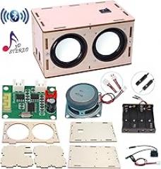 DIY Bluetooth Speaker Box Kit Electronic Sound Amplifier - Build Your Own Portable Wood Case Bluetooth Speaker Sound - Science Experiment and STEM Learning for Kids, Teens and Adults