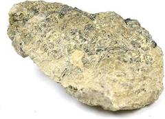 EISCO Andesite Specimen (Igneous Rock), Approx. 1