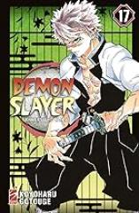 Demon slayer. Kimetsu no yaiba (Vol. 17) (Big)