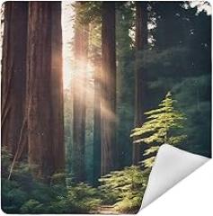 Morning Sunlight in Wilderness Camera Protective Wrap, Anti-scratch Lens Protector Wrapper, Magic Self-Adhesive Cloth for Cameras/DSLR/Laptop/Electronic Accessories, S