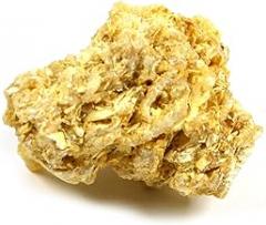 EISCO Coquina Specimen (Sedimentary Rock), Approx. 1