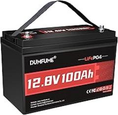 12V 100Ah LiFePO4 Lithium Battery Built-in 100A BMS, Group 31 Rechargeable Battery 6000+ Cycles 1280Wh Perfect for RVs MotorHomes, Camper, Solar System, and Off-Grid