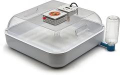 3100 - Electronic Thermostat Chick-Bator