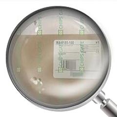 New MA-0185-100 1 Year Warranty for Ship